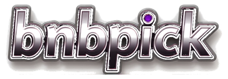 bnbpick logo